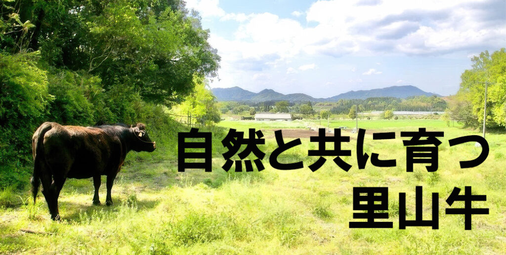 里山牛 通販 健康 放牧 育て方 循環型農業 サステナブル